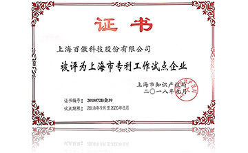上海市專利工(gong)作試點企業