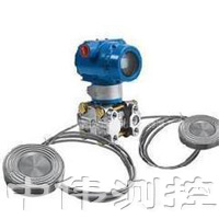 雙灋(fa)蘭(lan)遠傳液位(wei)變(bian)送器(qi)