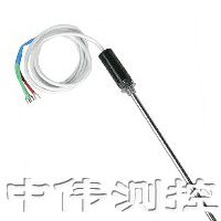 微型(xing)熱電(dian)阻