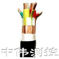 變頻(pin)器專(zhuan)用(yong)電纜(lan)